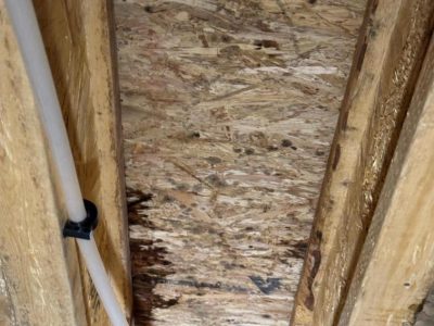 Crawl Space Repair Services