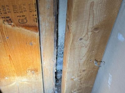 Mold Remediation Mitigation Services