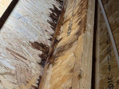 Residential Water Damage Mitigation
