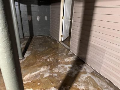 Water Damage Mitigation Services